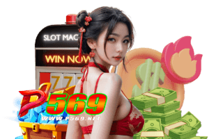 p569 login
